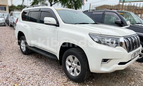 Buy Used Toyota Land Cruiser White Car in Kampala in Uganda