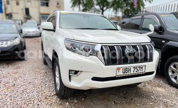 Nunua Ilio tumika Toyota Land Cruiser Nyeupe Gari ndani ya Kampala nchini Uganda Nunua Ilio tumika Toyota Land Cruiser Nyeupe Gari ndani ya Kampala nchini Uganda