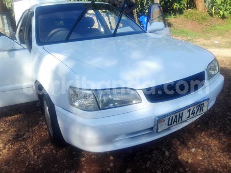 Big with watermark 42393307 881460898910097 4401121866601725952 n