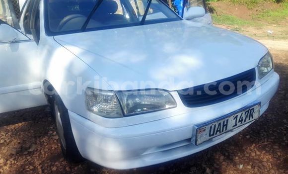 Gura Imported Toyota Corolla White Imodoka i Kampala mu Uganda Gura Imported Toyota Corolla White Imodoka i Kampala mu Uganda