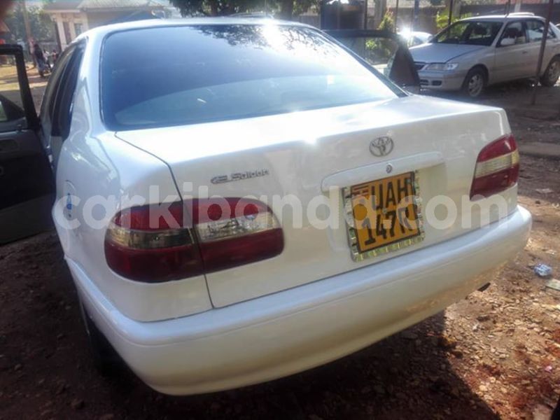 Big with watermark 42435076 713628862331378 1691674780513599488 n