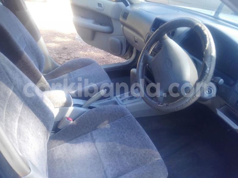 Big with watermark 43880256 157845481824638 895143421541351424 o