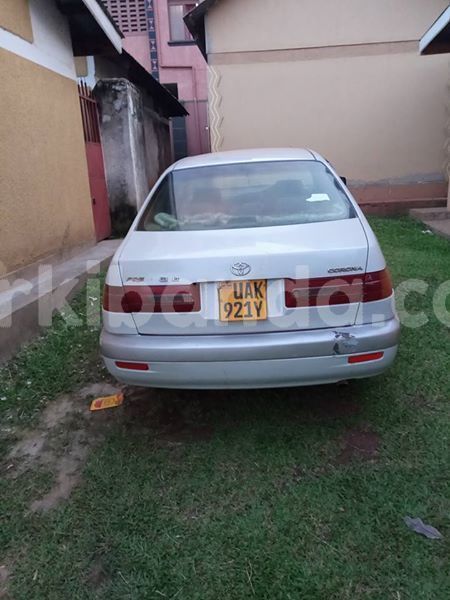 Big with watermark 42393307 881460898910097 4401121866601725952 n