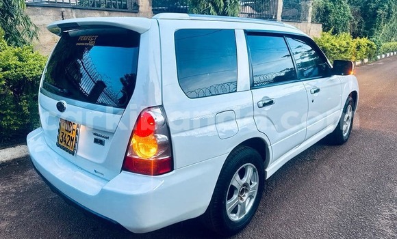 Gura Yakoze Subaru Forester White Imodoka i Adjumani mu Northern Gura Yakoze Subaru Forester White Imodoka i Adjumani mu Northern