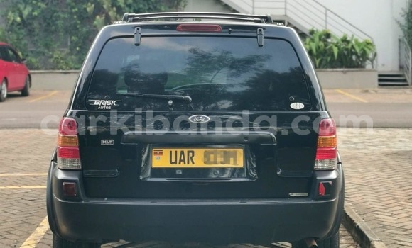 Buy Used Ford Escape Black Car in Adjumani in Northern Buy Used Ford Escape Black Car in Adjumani in Northern