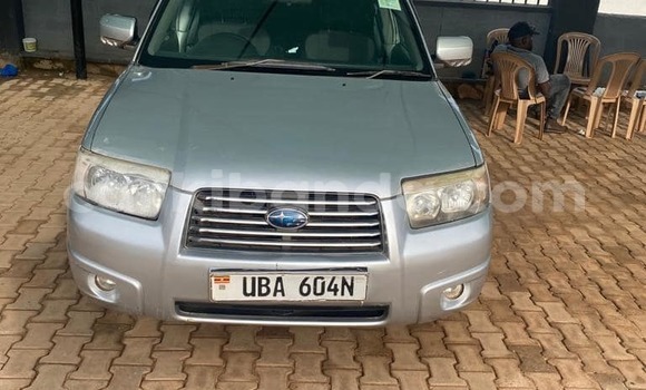 Buy Used Subaru Forester Silver Car in Adjumani in Northern Buy Used Subaru Forester Silver Car in Adjumani in Northern
