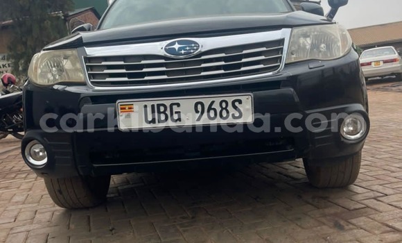 Acheter Occasion Voiture Subaru Forester Noir à Adjumani, Nord