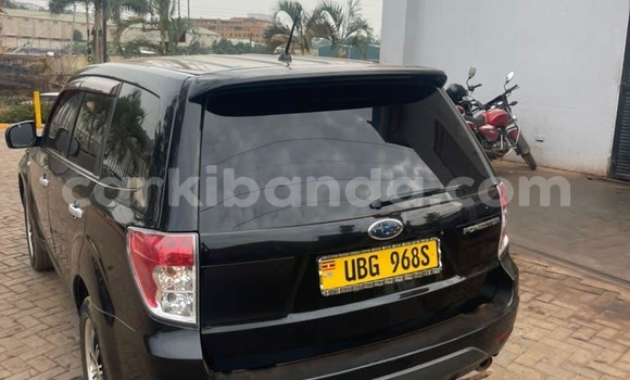 Gura Yakoze Subaru Forester Black Imodoka i Adjumani mu Northern Gura Yakoze Subaru Forester Black Imodoka i Adjumani mu Northern