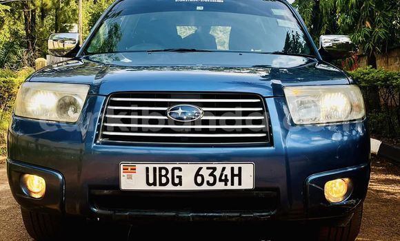 Buy Used Subaru Forester Blue Car in Adjumani in Northern Buy Used Subaru Forester Blue Car in Adjumani in Northern