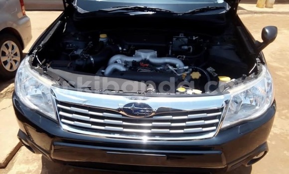 Buy Used Subaru Forester Black Car in Adjumani in Northern Buy Used Subaru Forester Black Car in Adjumani in Northern