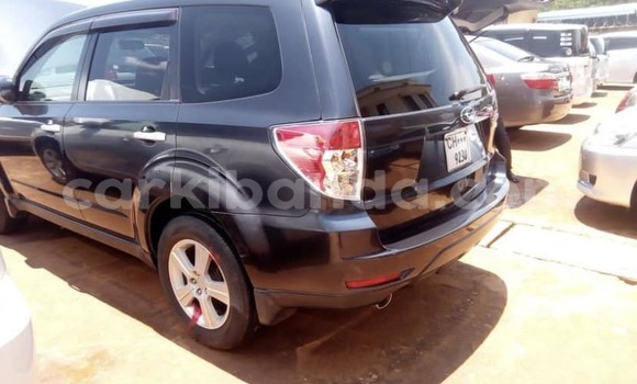 Buy Used Subaru Forester Black Car in Adjumani in Northern Buy Used Subaru Forester Black Car in Adjumani in Northern