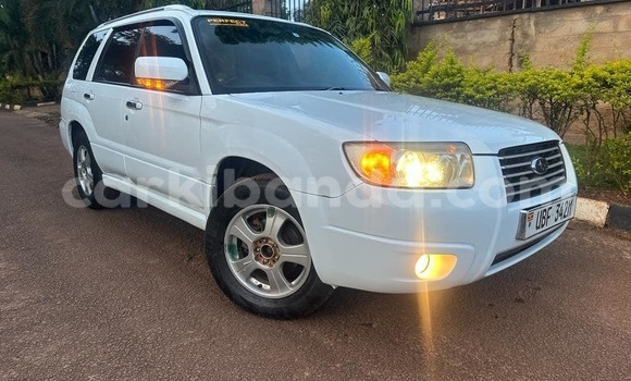 Buy Used Subaru Forester White Car in Adjumani in Northern Buy Used Subaru Forester White Car in Adjumani in Northern