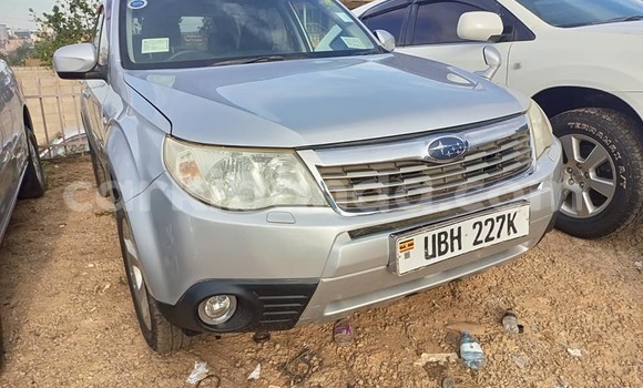 Buy Used Subaru Forester Silver Car in Kampala in Uganda
