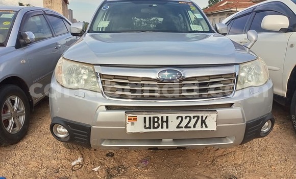 Acheter Occasion Voiture Subaru Forester Gris à Kampala, Ouganda Acheter Occasion Voiture Subaru Forester Gris à Kampala, Ouganda