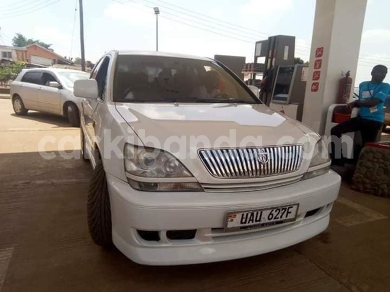 Big with watermark 46304529 939055196293239 6031715688110882816 n