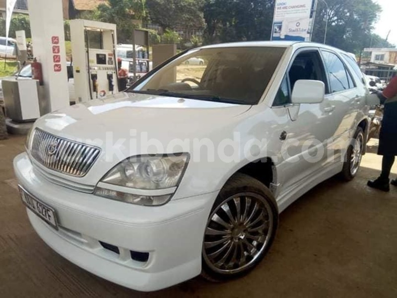 Big with watermark 46302853 939055279626564 7534752077600260096 n