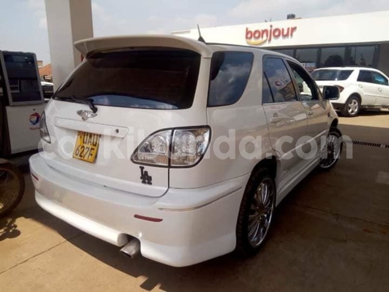 Big with watermark 46476229 939055136293245 9221933605062705152 n