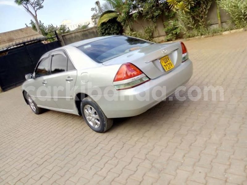 Big with watermark 46506351 939952392870186 7902192783245443072 n