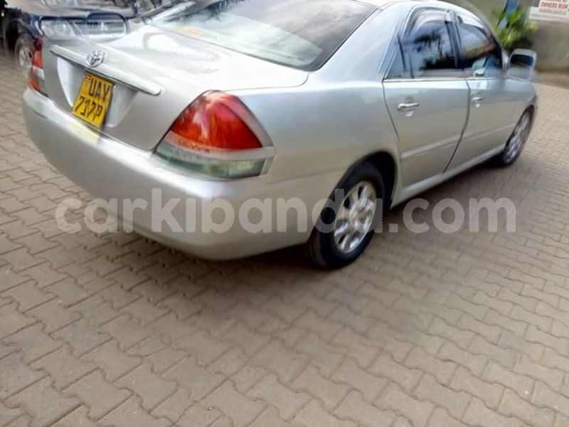 Big with watermark 46392593 939952102870215 6594764318405820416 n