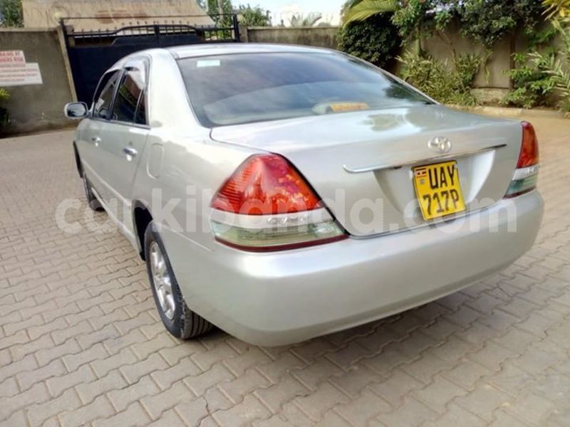 Big with watermark 46437329 939951902870235 1596052461859110912 n