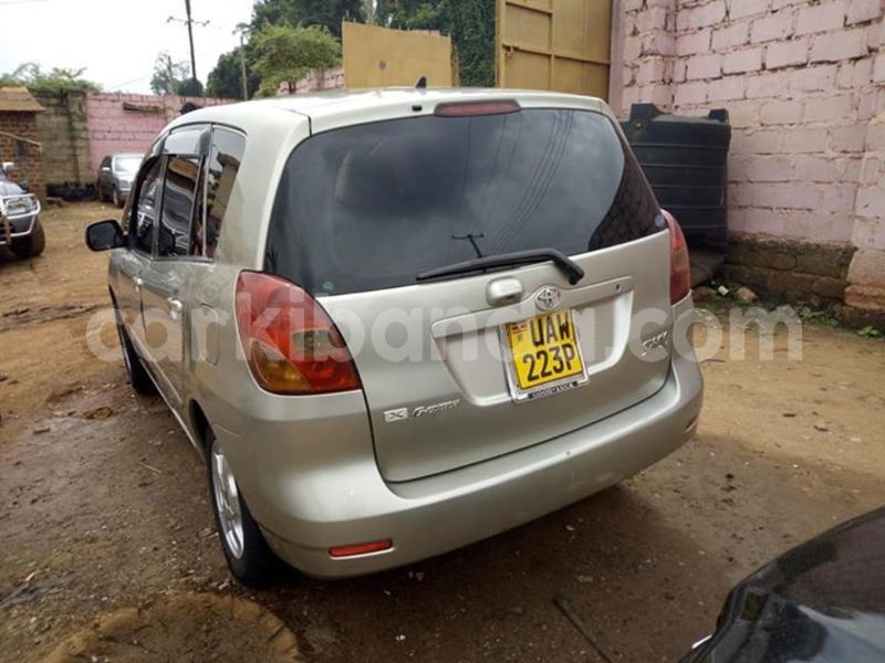 Big with watermark 45812743 935377493327676 9141284942561411072 n