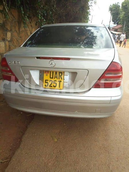 Big with watermark 46485689 2254399434781489 7177309282726051840 n