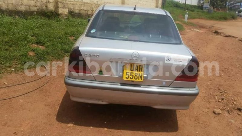 Big with watermark 46452402 2254399504781482 3796739033690800128 o