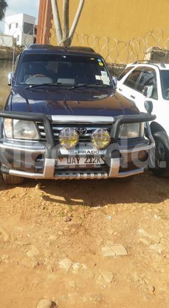 Big with watermark 46495075 1065656956949719 8893143675186446336 n