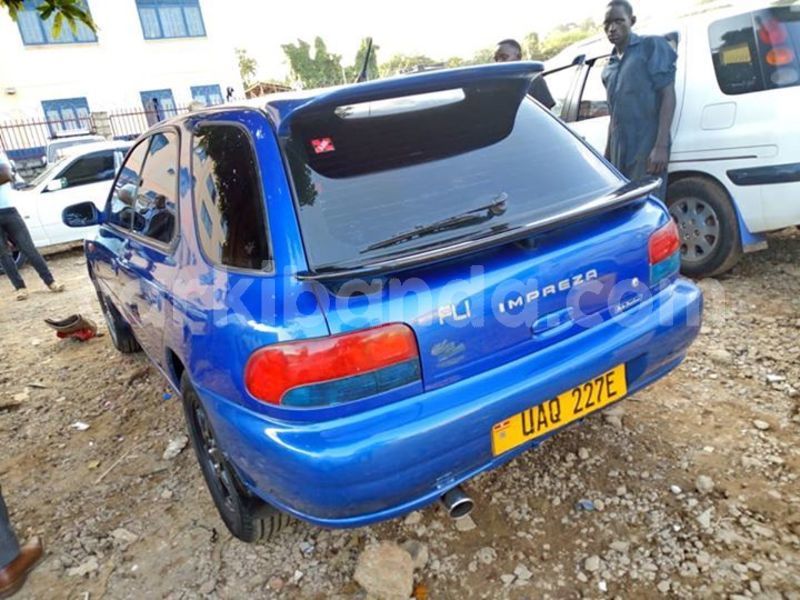 Big with watermark 46498036 942786912586734 3074152455911505920 n