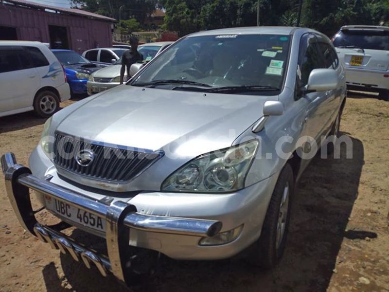 Big with watermark 46507475 941614706037288 1426601412028006400 n