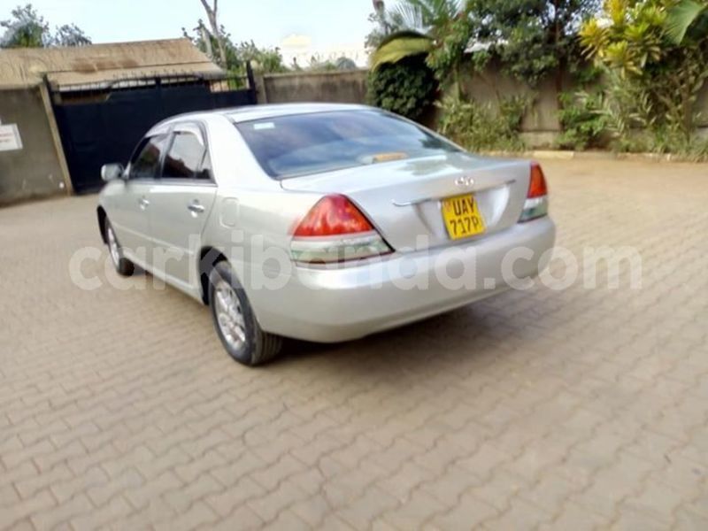 Big with watermark 46399925 940954856103273 9043547670341222400 n