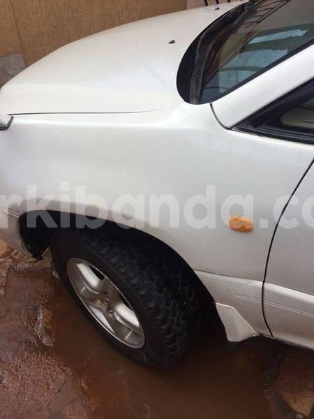 Big with watermark 46492535 2245997949004889 3009379182242168832 n