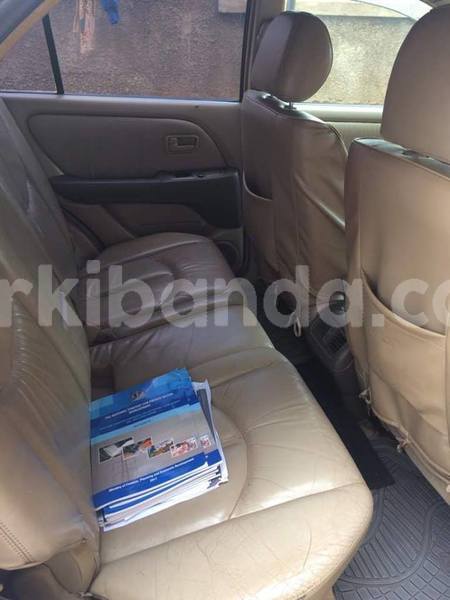 Big with watermark 46525794 2245997942338223 4929030981446270976 n