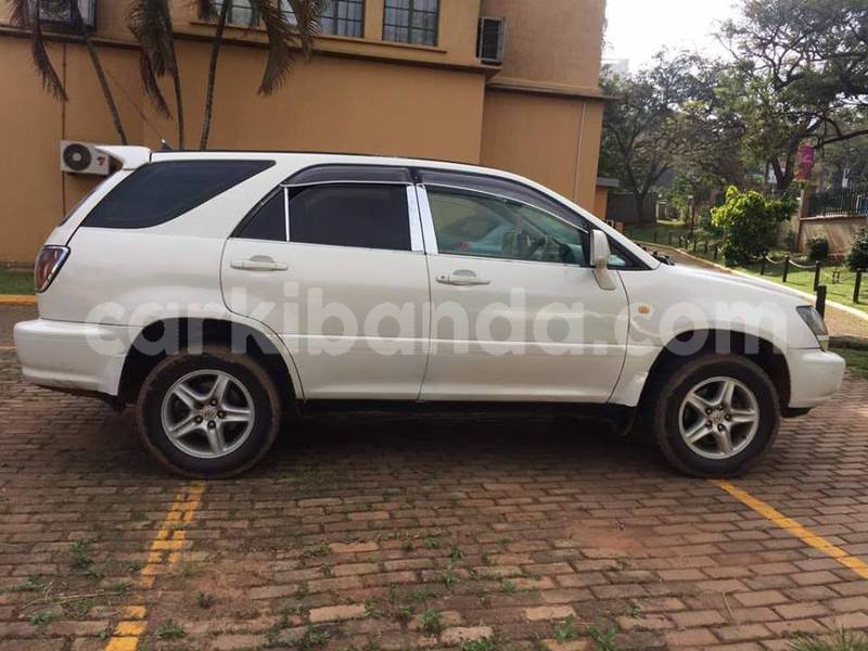 Big with watermark 46482560 2245997802338237 4398019809292320768 n