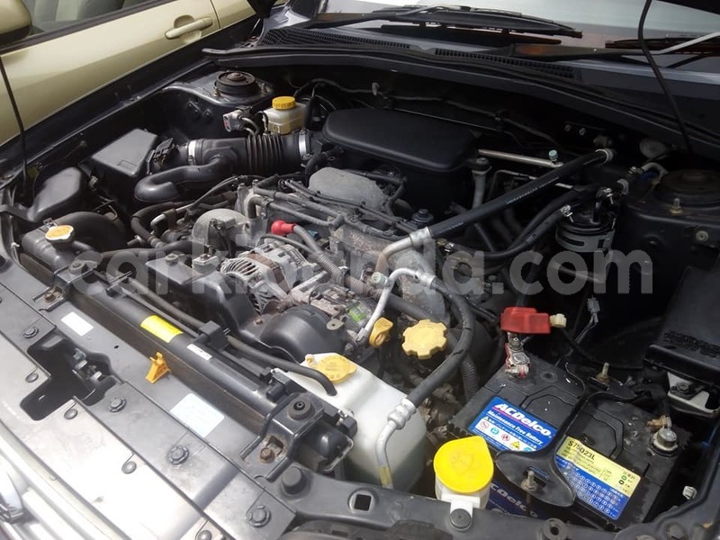 Big with watermark 46421786 2243987975872553 4842113298780389376 n