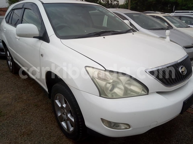 Big with watermark 46012268 2239121269692557 2868786494414258176 n