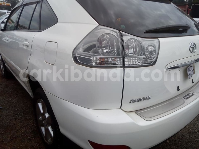 Big with watermark 45759621 2239121426359208 6962919998666833920 n