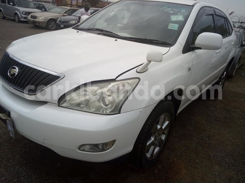 Big with watermark 45854255 2239121316359219 4094849990696894464 n