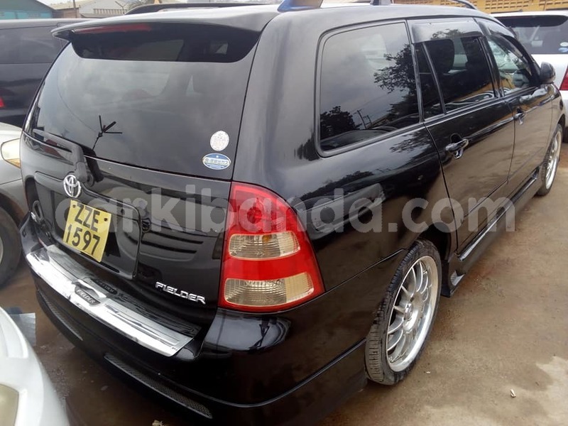 Big with watermark 45687980 2238377419766942 4904436293607358464 n