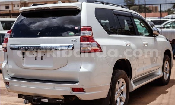 Buy Used Toyota Prado White Car in Kampala in Uganda