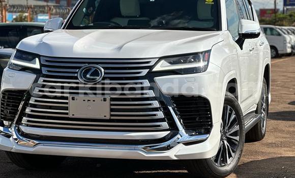 Buy Used Lexus LX White Car in Kampala in Uganda