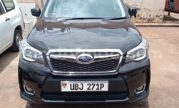 Buy Used Subaru Forester Black Car in Fort Portal in Uganda Buy Used Subaru Forester Black Car in Fort Portal in Uganda