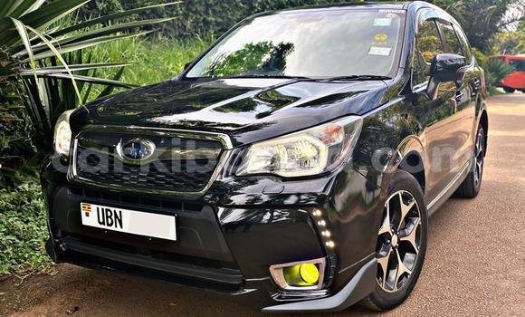 Buy Used Subaru XT Black Car in Kampala in Uganda