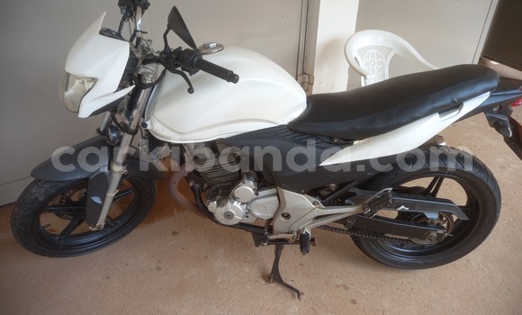 Buy Used Honda CBR White Bike in Kampala in Uganda Buy Used Honda CBR White Bike in Kampala in Uganda
