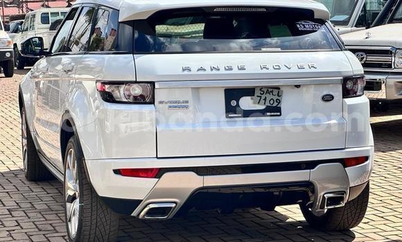 Gura Yakoze Land Rover Range Rover Evoque White Imodoka i Kampala mu Uganda Gura Yakoze Land Rover Range Rover Evoque White Imodoka i Kampala mu Uganda