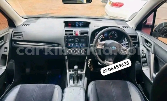 Buy Used Subaru Forester Other Car in Kampala in Uganda Buy Used Subaru Forester Other Car in Kampala in Uganda