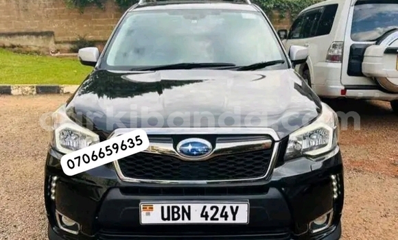 Buy Used Subaru Forester Other Car in Kampala in Uganda Buy Used Subaru Forester Other Car in Kampala in Uganda