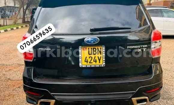 Buy Used Subaru Forester Other Car in Kampala in Uganda Buy Used Subaru Forester Other Car in Kampala in Uganda