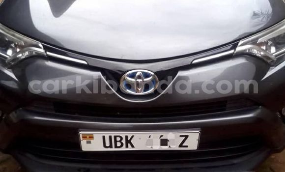 Buy Used Toyota RAV4 Other Car in Kampala in Uganda