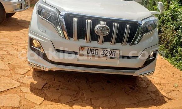 Buy Used Toyota Prado White Car in Kampala in Uganda